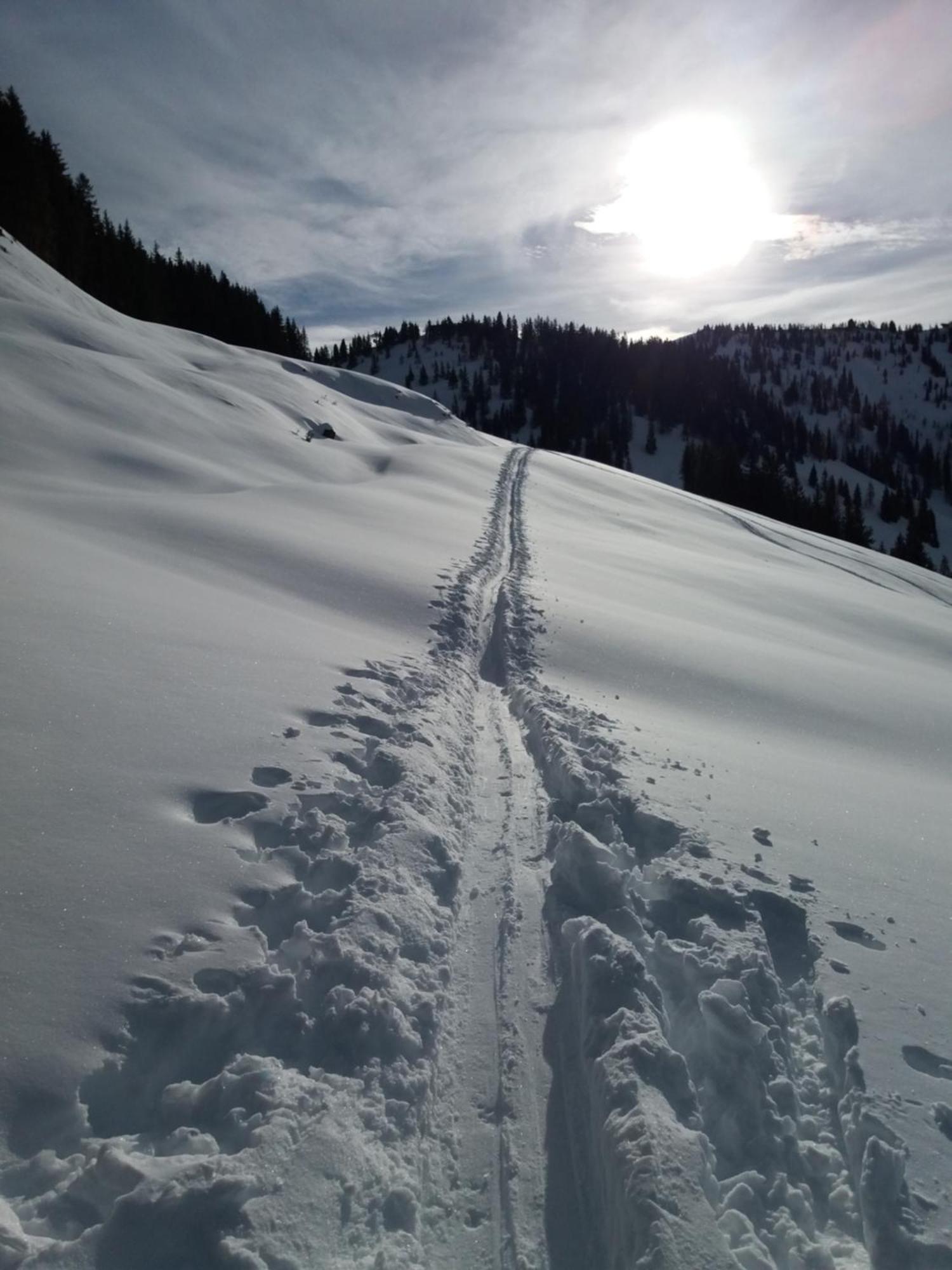 Leirerfeld Daire Alpbach Dış mekan fotoğraf